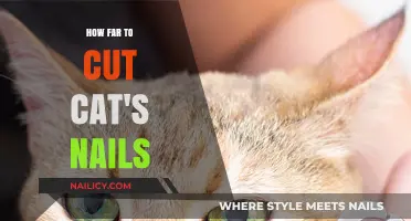 Trimming Cat Claws: How Short is Too Short?