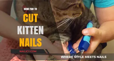 Trimming Kitten Nails: How Short is Too Short?