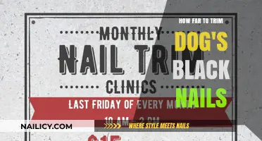 Trimming Black Dog Nails: How Short is Too Short?