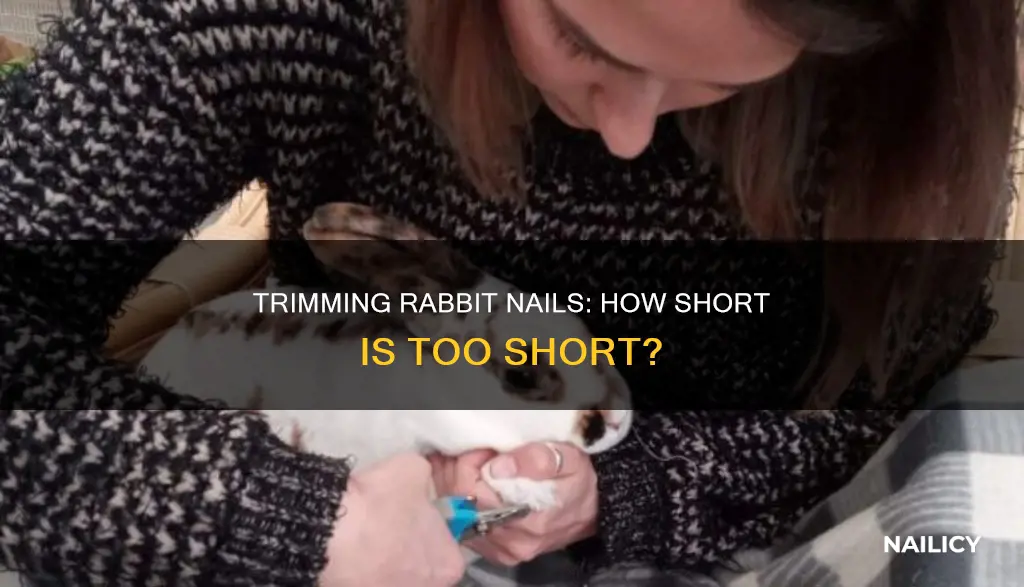 how far to trim rabbit nails