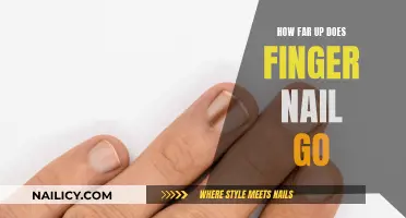 Nail Growth: Exploring the Limits of Fingernail Length