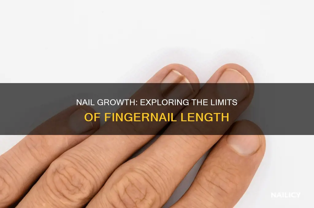 how far up does finger nail go