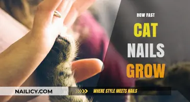 Cat Claw Growth: Rapid Nail Development in Felines