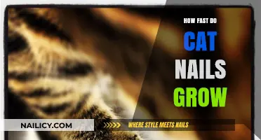 Cat Claw Growth: How Fast Do They Grow?