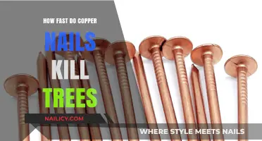 Copper Nails and Trees: Uncovering the Speed of Their Lethal Effect