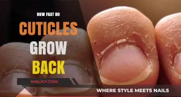 The Rapid Recovery of Cuticles: Growth Timeline