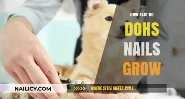 Dachshund Nails: How Fast Do They Grow?