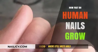 The Rapid Growth of Human Nails: How Quick?