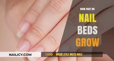 Nail Beds: How Fast Do They Grow?