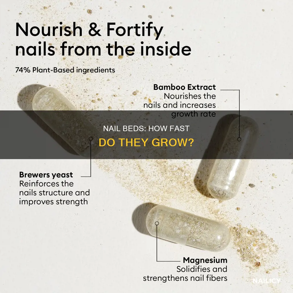 how fast do nail beds grow