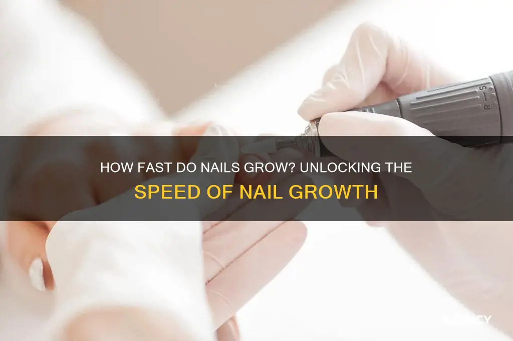 how fast do nails decision