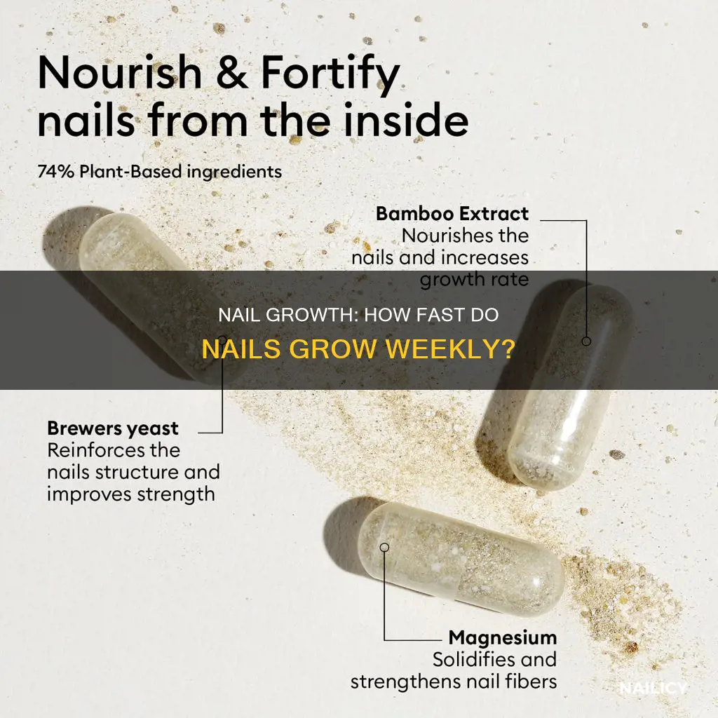 how fast do nails grow a week