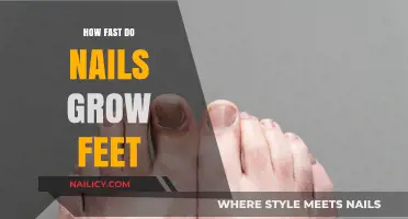 The Intriguing Growth Rate of Toenails