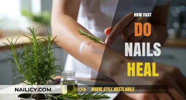 Nail Healing Speed: Factors Affecting Recovery and Growth Rate