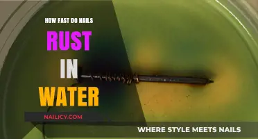 How Quickly Do Nails Rust in Water? A Detailed Analysis