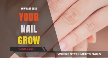 Nail Growth: How Fast Do Nails Actually Grow?