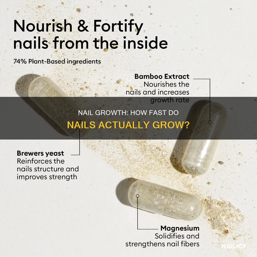 how fast does your nail grow
