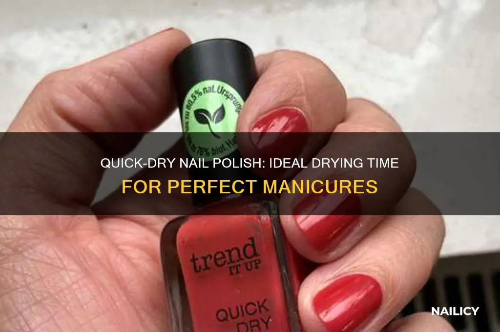 how fast should nail polish take to dry