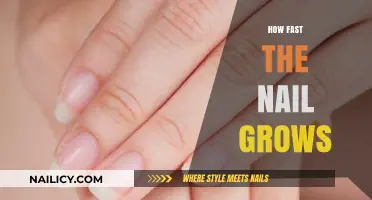 Nail Growth: How Fast Do Nails Grow?