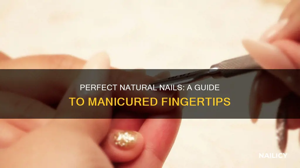 how finger nails are supposed to look natural