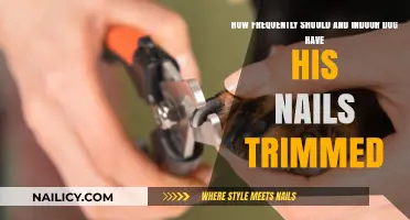 Trimming Your Indoor Dog's Nails: How Often is Too Often?