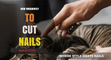 Well-Groomed Nails: How Often Should You Trim?