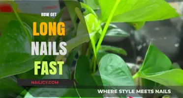 Nail Growth Hacks: Achieve Long, Healthy Nails Quickly and Naturally