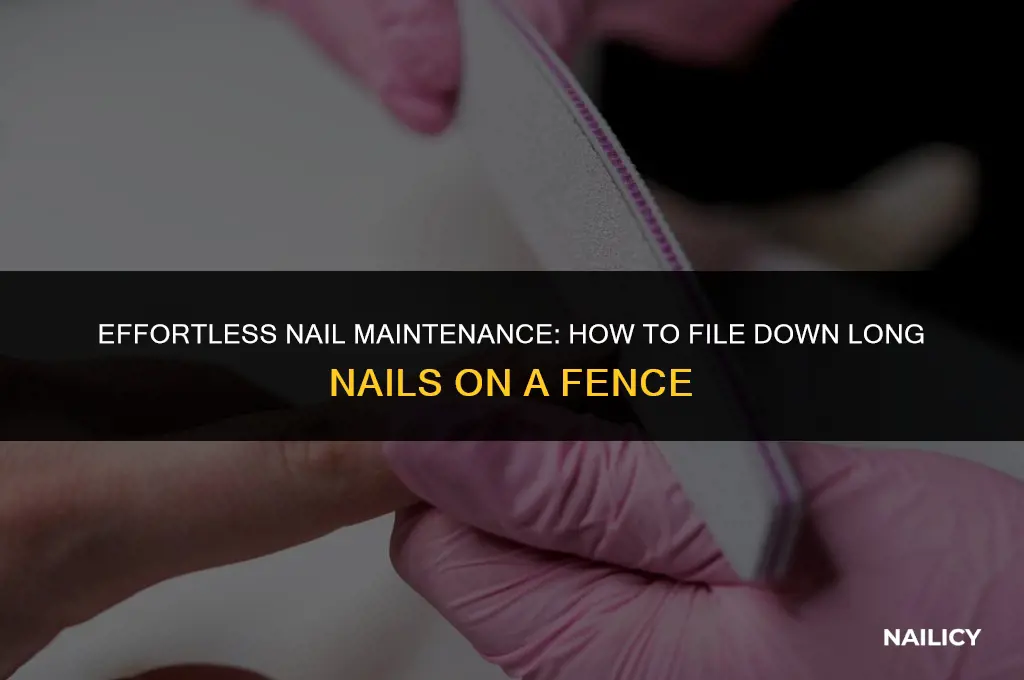 how get long nails filed down in fence