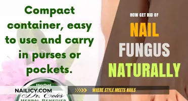 Natural Remedies to Eliminate Nail Fungus: A Comprehensive Guide