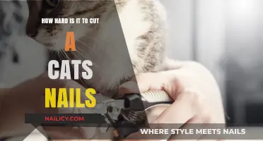 Trimming Cat Claws: A Daunting Task?