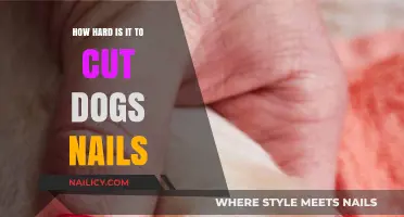 Trimming Dog Nails: A Daunting Task?