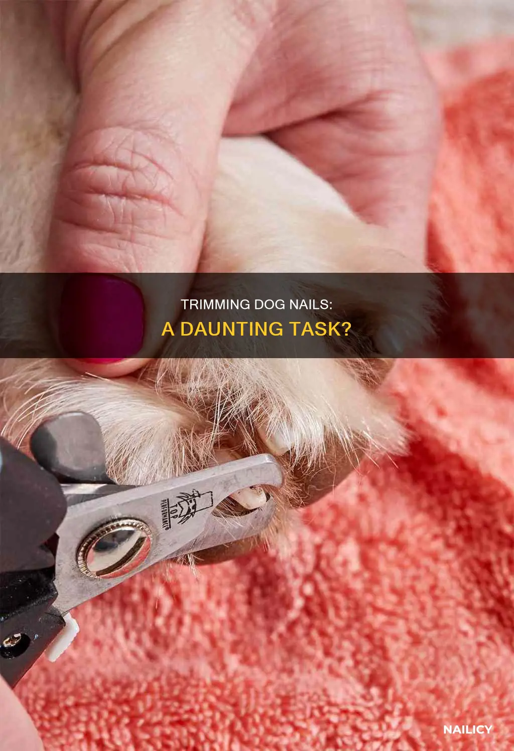 how hard is it to cut dogs nails