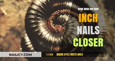 Nine Inch Nails' 'Closer': Peak Chart Position and Lasting Impact