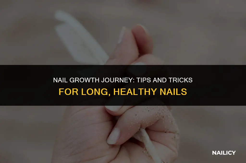 how i get long nails