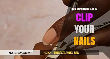 Nail Care Essentials: Why Clipping Your Nails Matters for Health and Hygiene