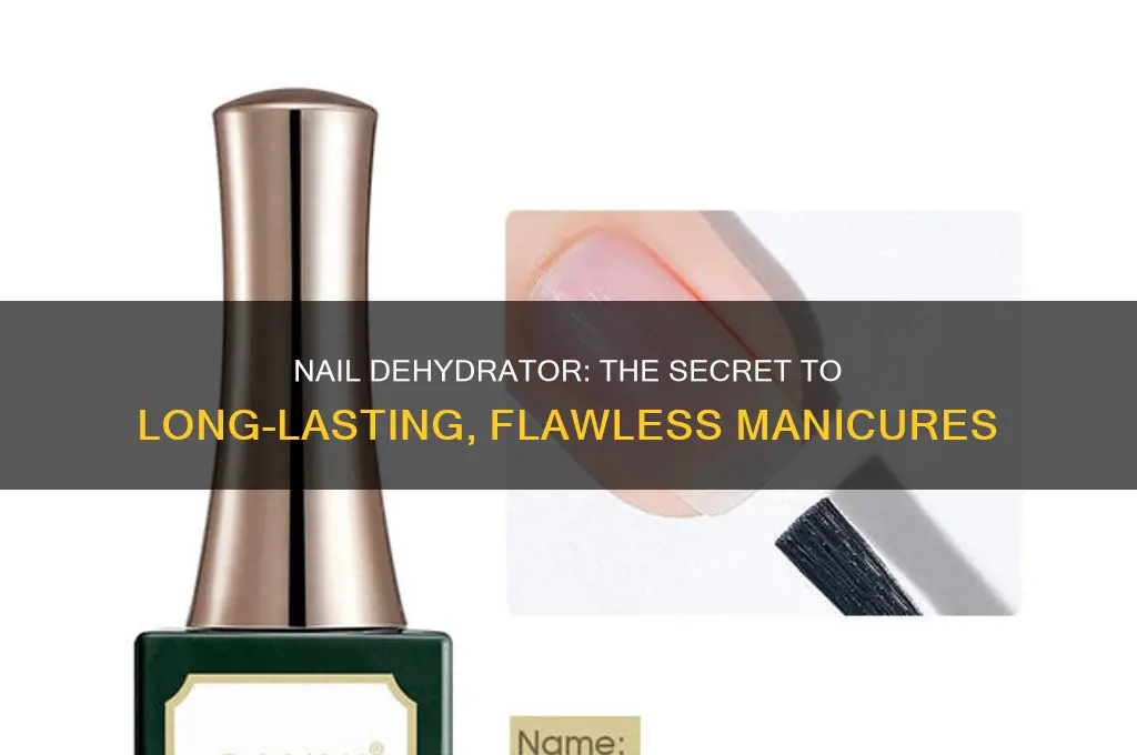 how important is nail dehydrator