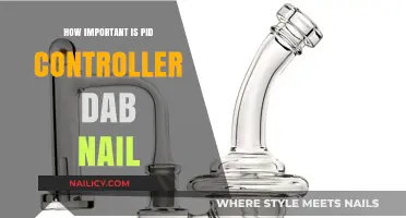Mastering Precision: The Importance of PID Controller Dab Nails