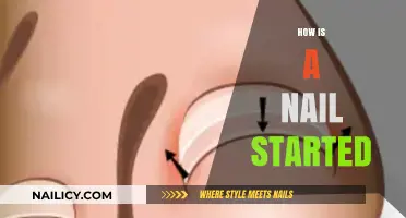 The Fascinating Process of How a Nail Begins to Form