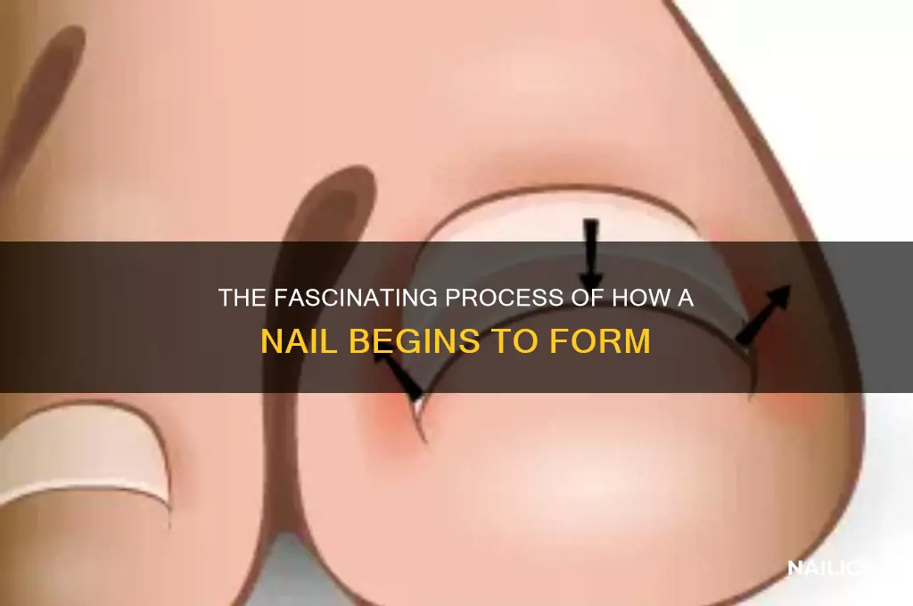 how is a nail started