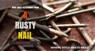 Rusty Nails and Tetanus: Separating Myth from Reality