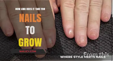 Nail Growth: How Long Does it Take to Get Longer Nails?