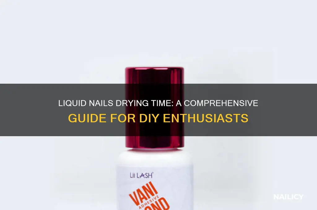 how lobg for liquid nail to dry