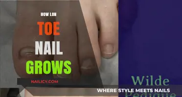 Toe Nail Growth: How Long Do They Grow?
