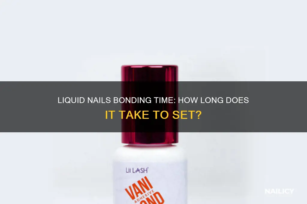 how lond bond time for liquid nails