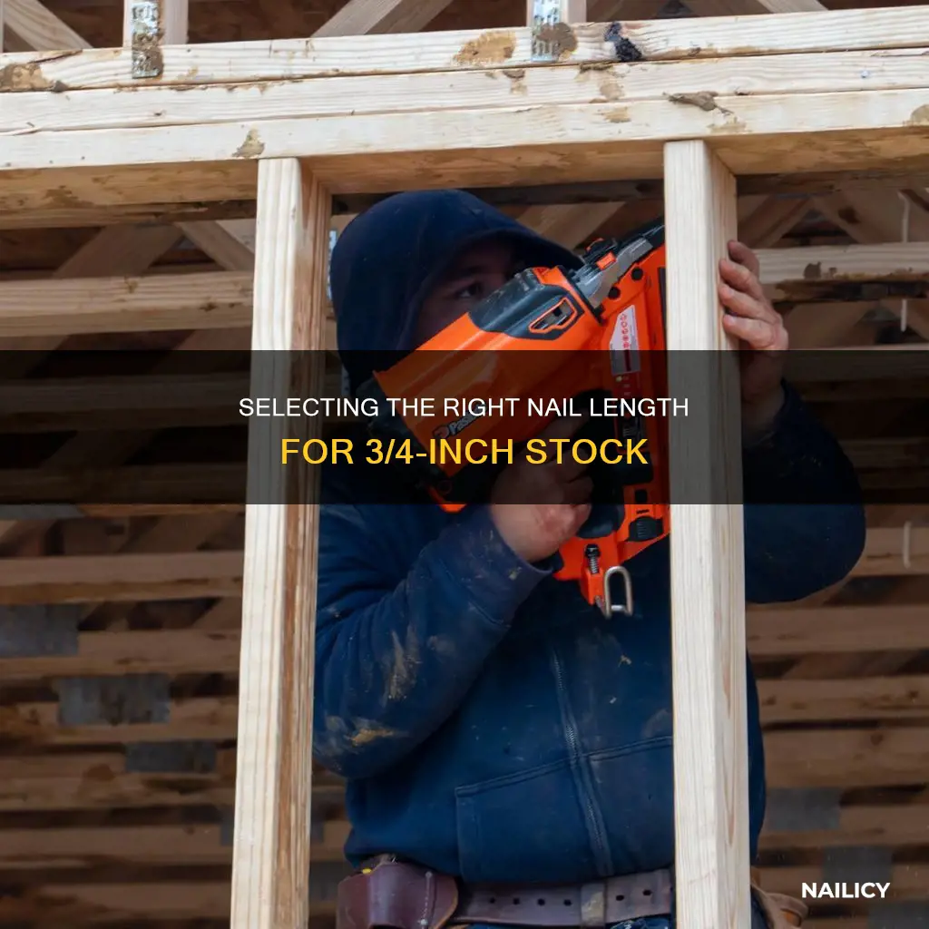 how long a nail for 3 4 inch stock