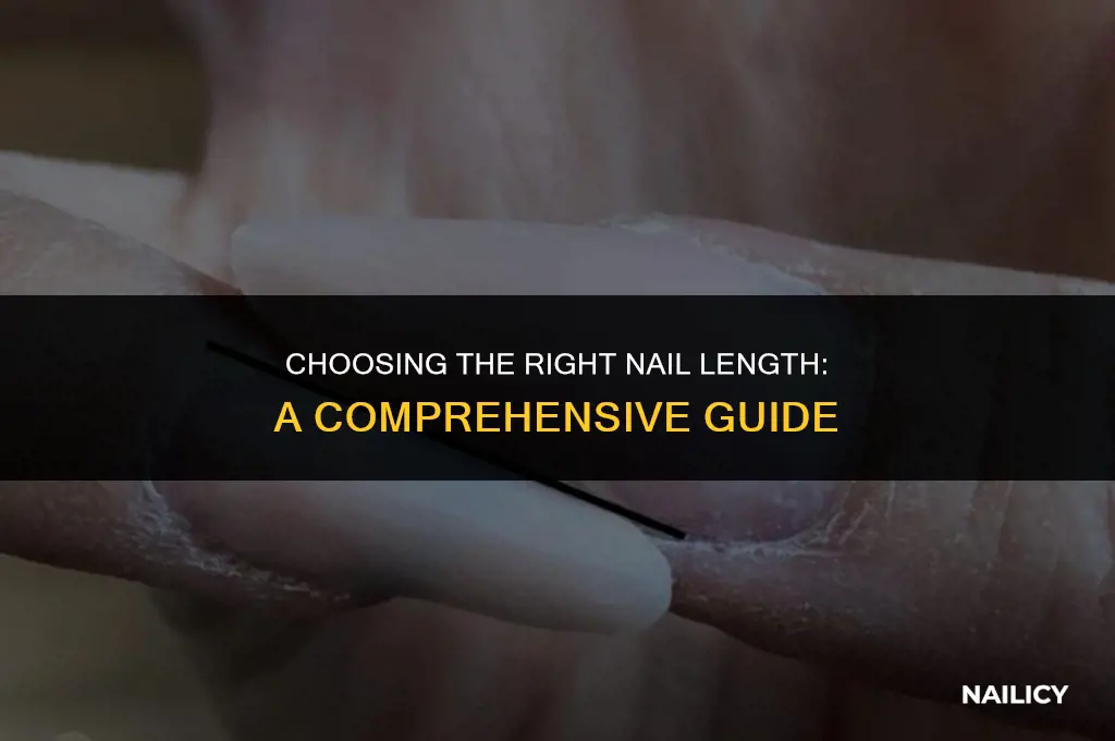 how long a nail should i use