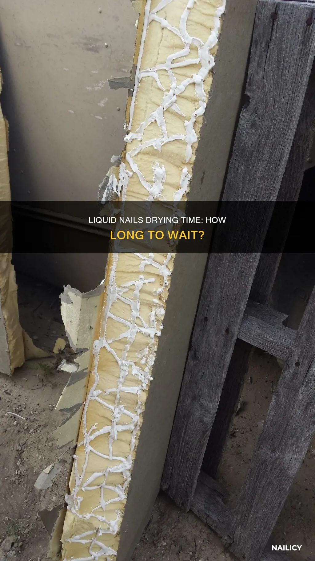 how long a wait for liquid nails to dry