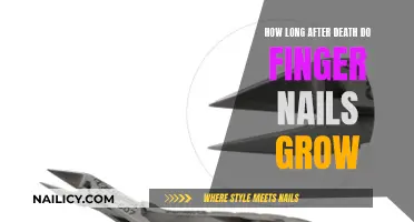 Do Nails Grow After Death?