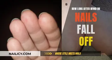 HFMD Recovery: Nail Fallout Timeline