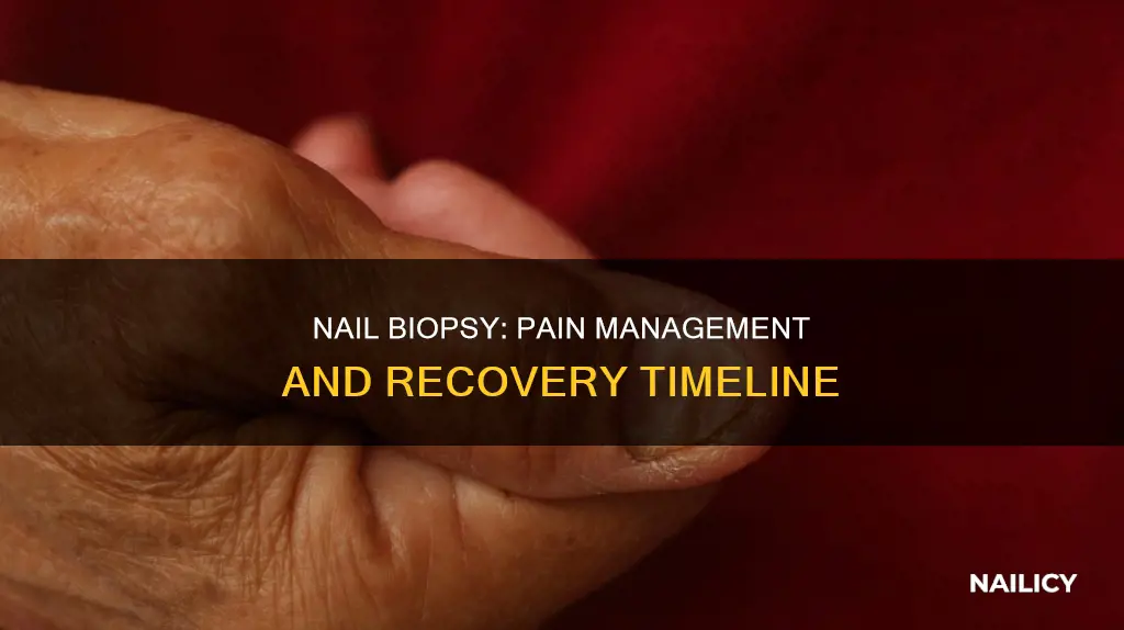 how long after nail biopsy will i feel no pain